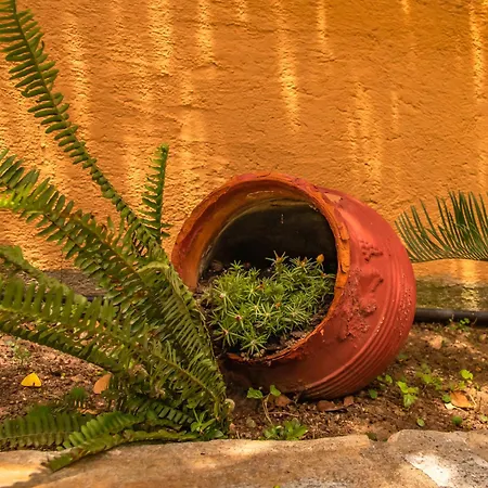 La Casa De Vacation * Лафкос